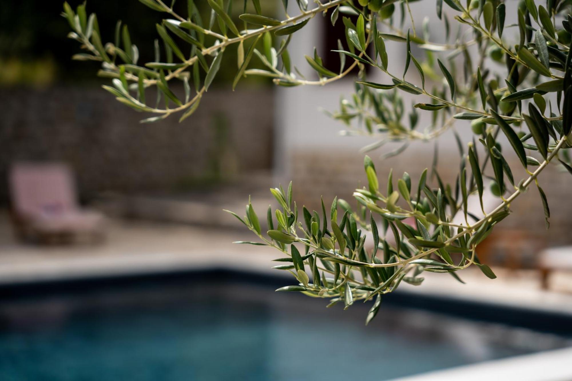 Villa Pag Dubrava Relax With Pool Bosana Bagian luar foto