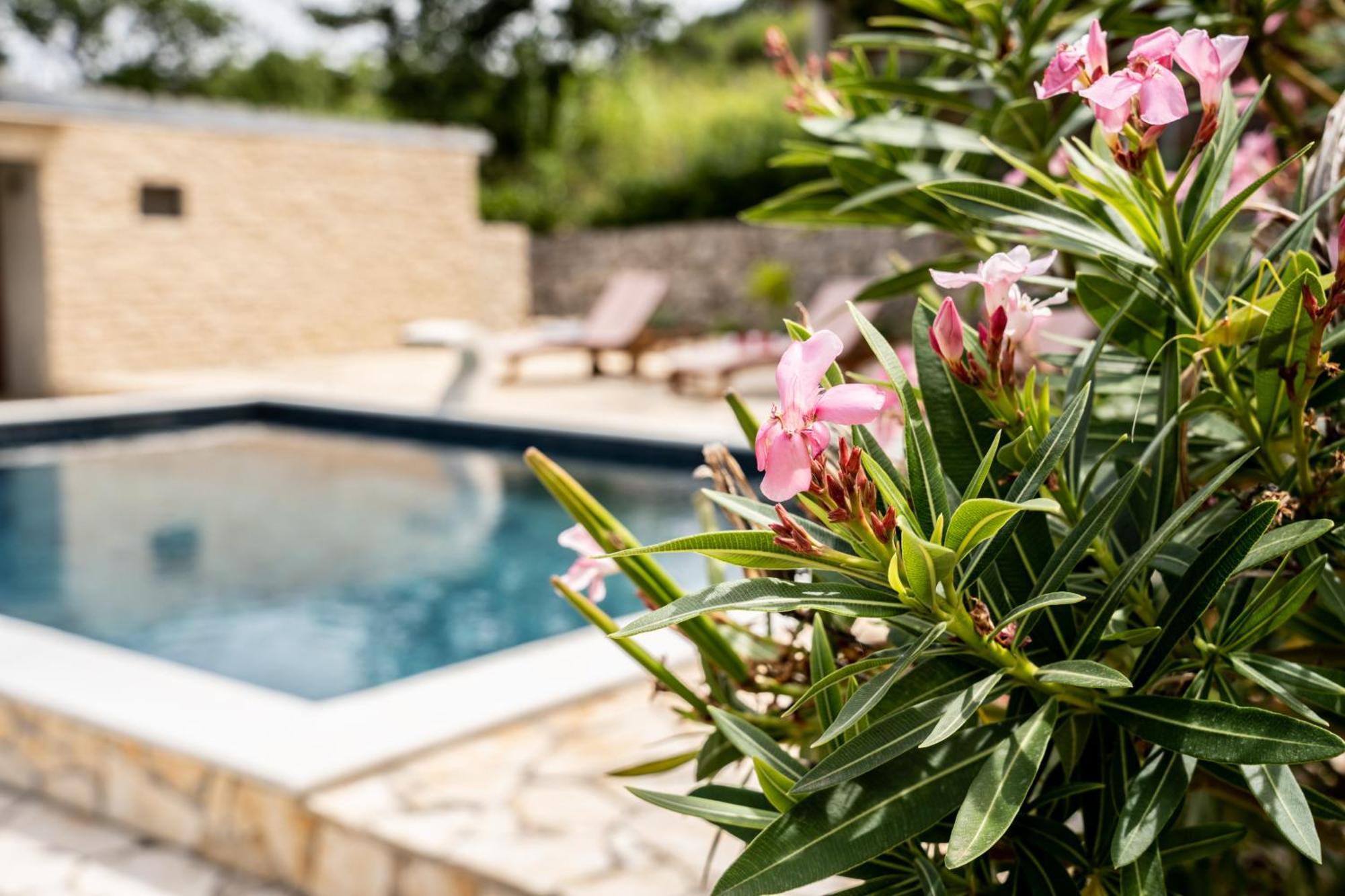 Villa Pag Dubrava Relax With Pool Bosana Bagian luar foto